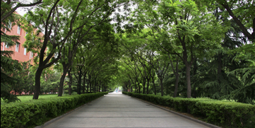 bti体育·(中国)官方网站-BTI-SPORTS