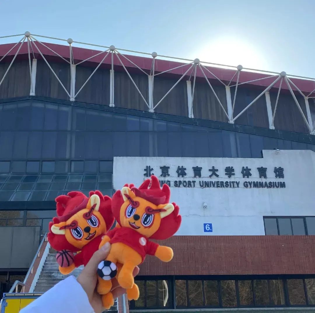 bti体育·(中国)官方网站-BTI-SPORTS